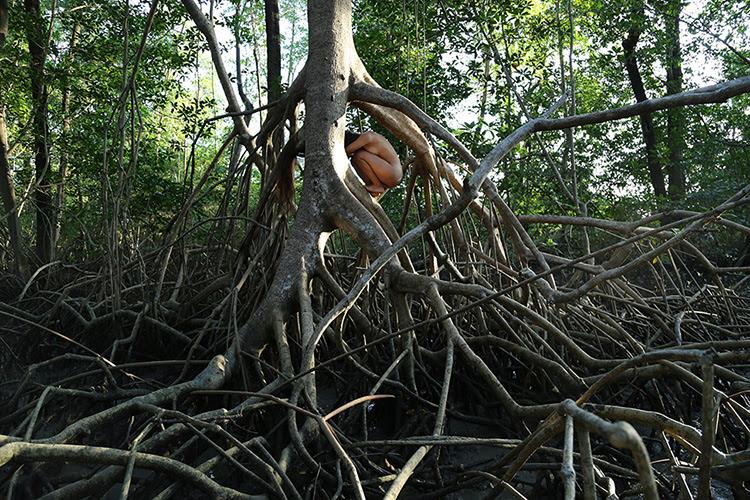 Luciana Magno exibe a série Orgânicos na Pinta Miami. Obra: Sem título, 2014, Pigmento sobre papel de algodão, 80 x 120 cm.