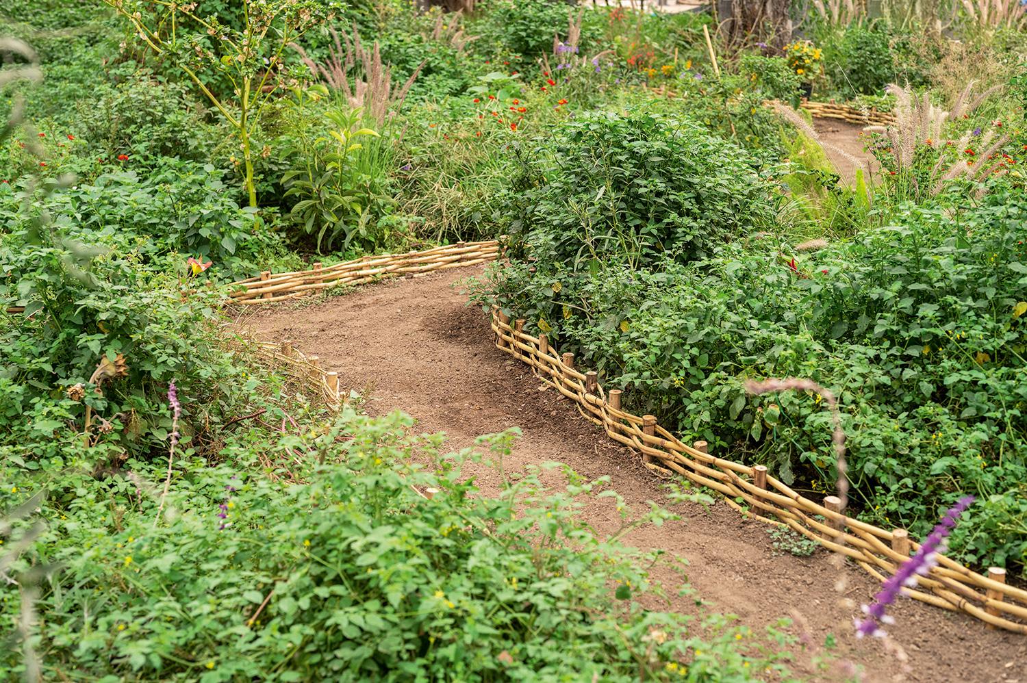 Gonzalo Herrera - El Jardín de "Vida". Ambiente da CASACOR Peru 2022.