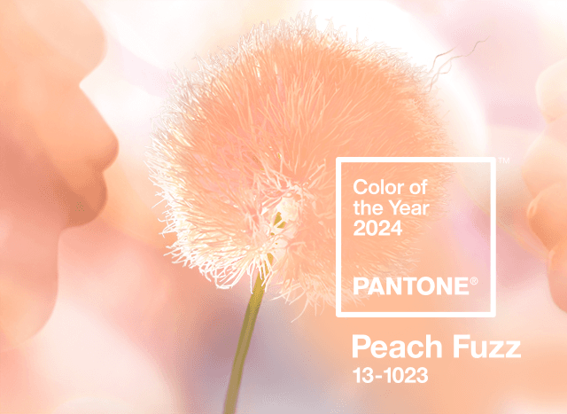 Cor Pantone 2024- Peach Fuzz