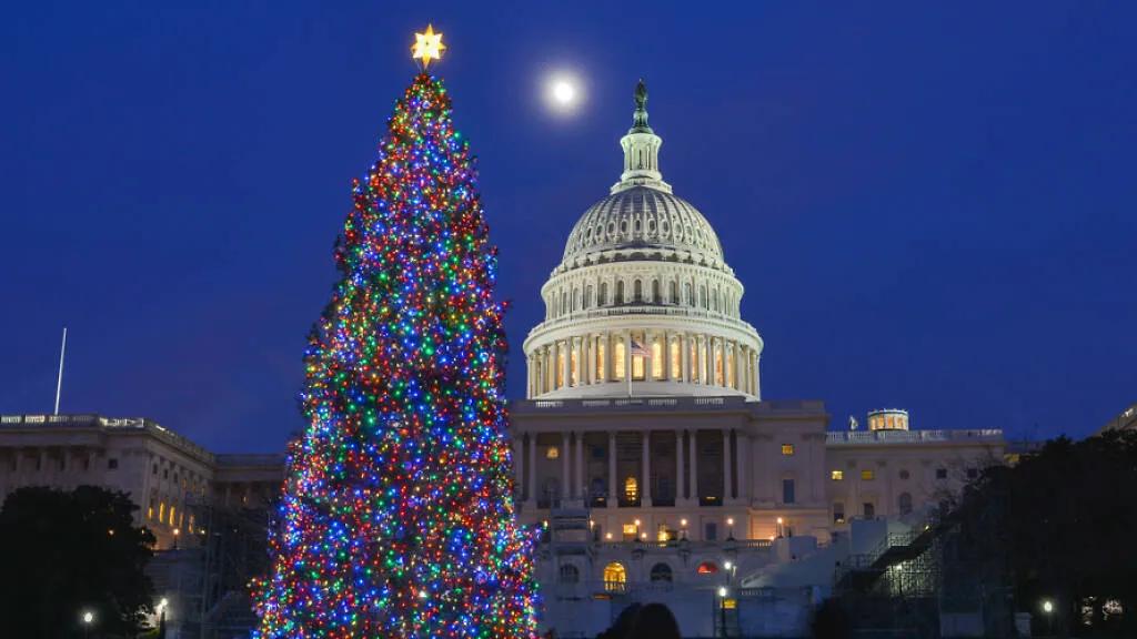 Árvore natal Capitólio EUA