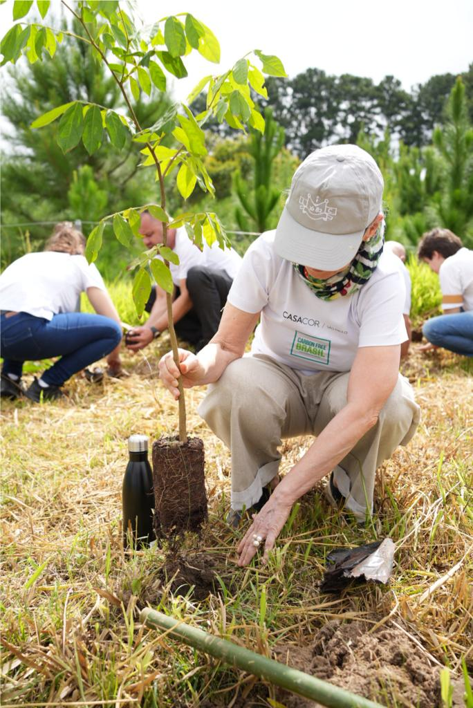 The CASACOR team participates in a planting event conducted by Carbon Free Brasil.