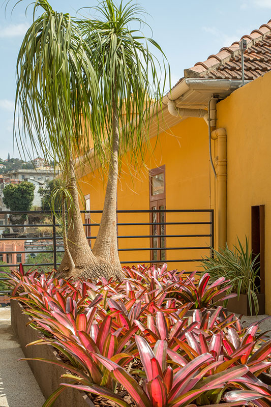 Paisagismo do Jardim do Home Office da Designer - Fernando Acylino. Neste jardim, cachepôs de madeira foram pintados de forma que parecem uma grande jardineira. Eles foram preenchidos com espécies bem brasileiras.