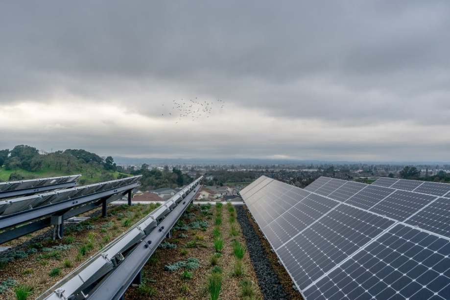 O telhado verde do edifício possui um jardim que respeita a ecologia logal e reforça a biodiversidade da paisagem escolar.