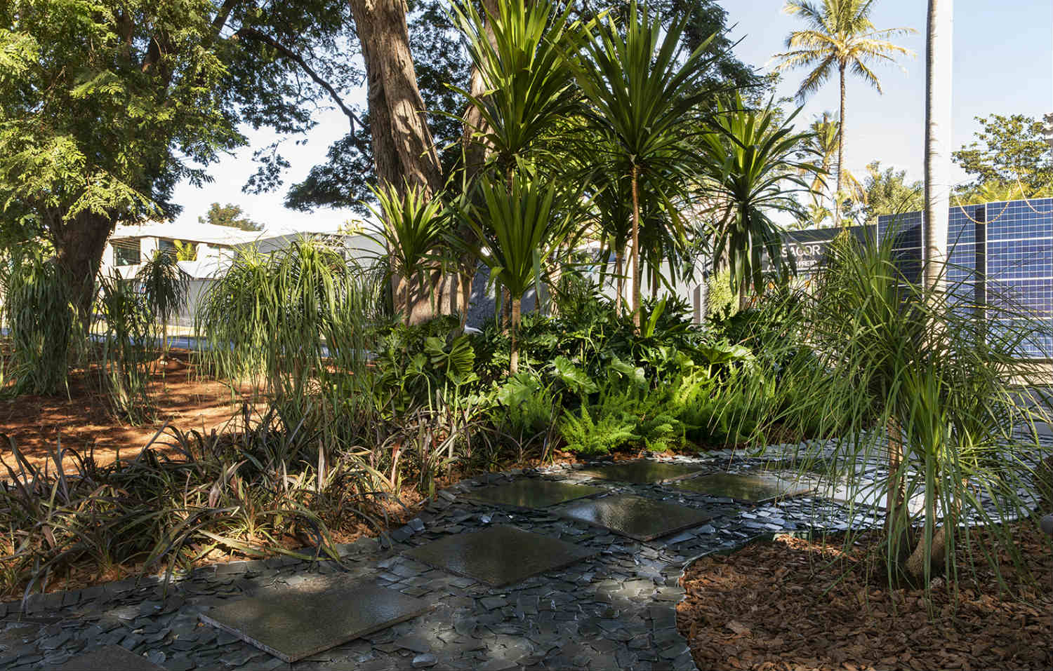 CASACOR Ribeirão Preto 2019. Monica Costa - Caminho das Árvores. O canteiro central da Avenida Carlos Consoni virou um jardim, no percurso para chegar à CASACOR. A arquiteta e paisagista valorizou as Sibipirunas originais ao combiná-las com Nolinas (patas de elefante). O caminho ganhou também dois grandes canteiros com folhagens tropicais, pisantes de porcelanato e pedriscos na cor cinza.