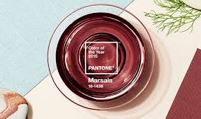 PANTONE 18-1438 Marsala: "Este tom forte, mas elegante, tem apelo universal e pode ser facilmente traduzido para a moda, beleza, design industrial e decoração", explicou Pantone em seu release. E foi exatamente o que aconteceu em 2015, o marrom avermelhado sóbrio e sofisticado fez muito sucesso dentro e fora das passarelas.