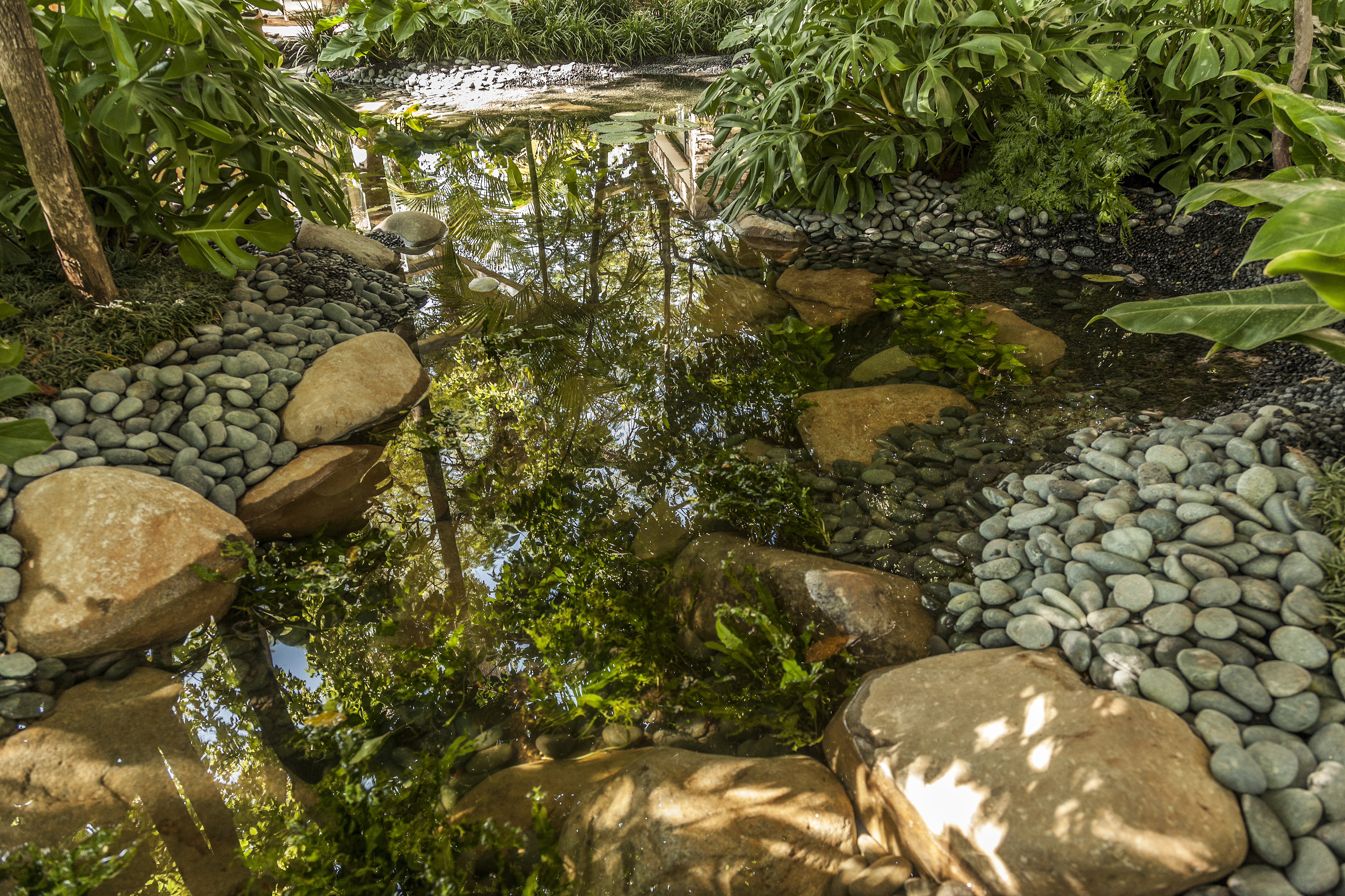 Projeto Lago - Gilberto Elkis