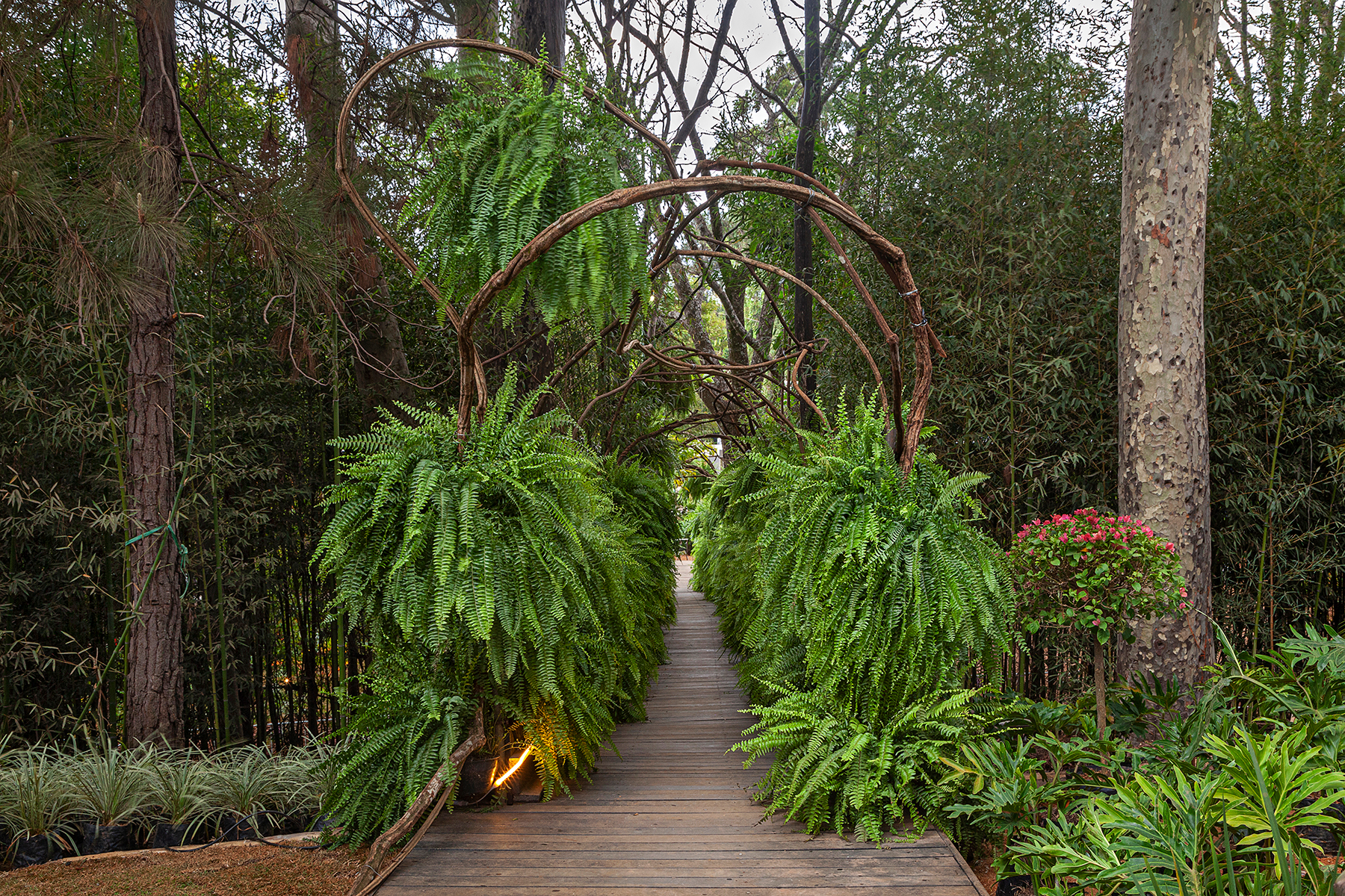 Kat Flores e Paisagismo - Verde pra si, ver a si. A simplicidade de samambaias e plantas tropicais tem contraponto na sofisticação de vasos vietnamitas em um jardim sereno. Espaço para reavivar as memórias afetivas, oferecendo um respiro em meio ao agito urbano. Plantas de diferentes tons, formatos e texturas se harmonizam com o sofá em formato de seixo rolado. O som das águas é um convite para descansar, refletir e se conectar com as próprias raízes.