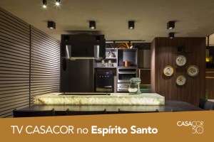 271-tv-casacor-espirito-santo-2016-lounge-gourmet-alexandria