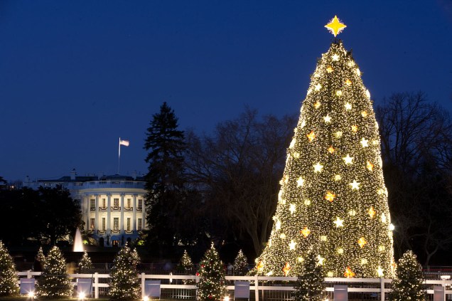 Árvore de Natal 2009 da Casa Branca, durante o governo Obama.