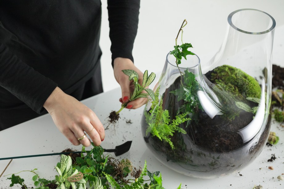 7. Continue colocando as plantas menores usando este método, tentando mantê-las afastadas das bordas.