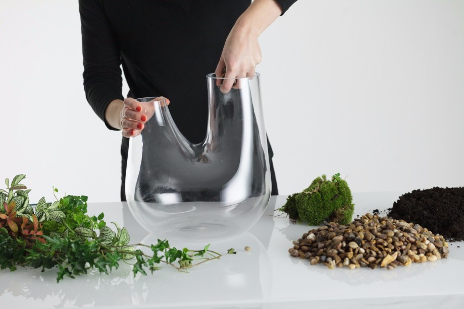1. Limpe o interior do vaso para garantir que não haja resíduos que possam prejudicar a planta.