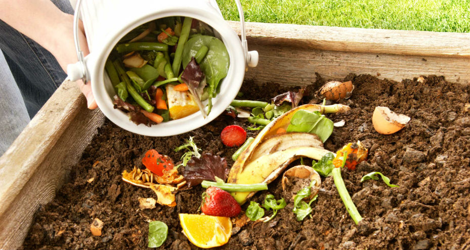 Lixo orgânico sendo depositado na terra para fazer compostagem