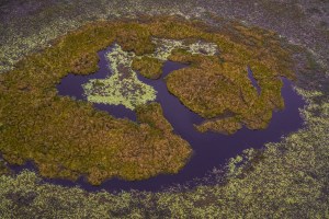 Joao_Farkas_Documenta-Pantanal