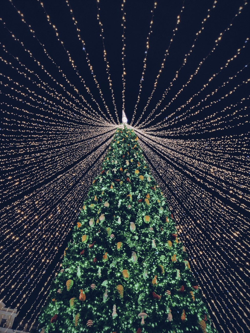árvore de Natal, árvores de Natal diferentes