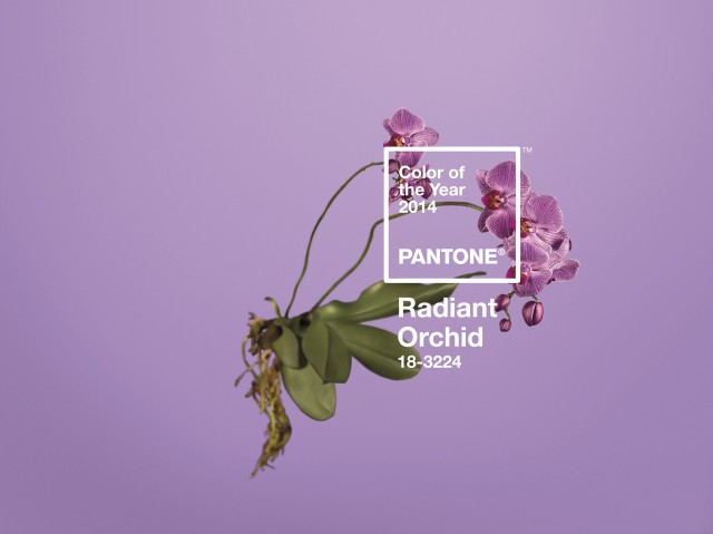 PANTONE 18-3224 Radiant Orchid: expressiva e abrangente, esta variação entre roxo e o lilás é uma cor que estimula a criatividade e a originalidade, além de trazer confiança. Segundo a diretora executiva do Pantone Color Institure, Leatrice Eiseman, a Radiant Orchid intriga os olhos e desperta a imaginação.