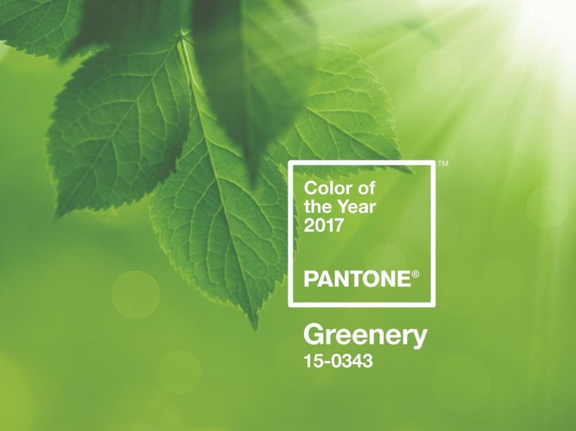 PANTONE 15-0343 Greenery: um tom fresco, moderno, amarelo- esverdeado, que lembra os primeiros dias da primavera, quando os verdes na natureza se renovam em novas folhagens. Se reflete também na vontade do consumidor de respirar profundamente e uma vida ao ar livre.