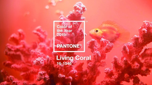 PANTONE 16-1546 Living Coral: segundo a Pantone, este coral animado e cheio de vida inspirado em cores da natureza nos abraça calorosamente nutrindo e promovendo uma aura de conforto e desprendimento neste ambiente em constante transformação.