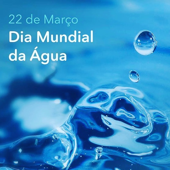 22 de março é o Dia Mundial da Água: o que a data representa? - CASACOR
