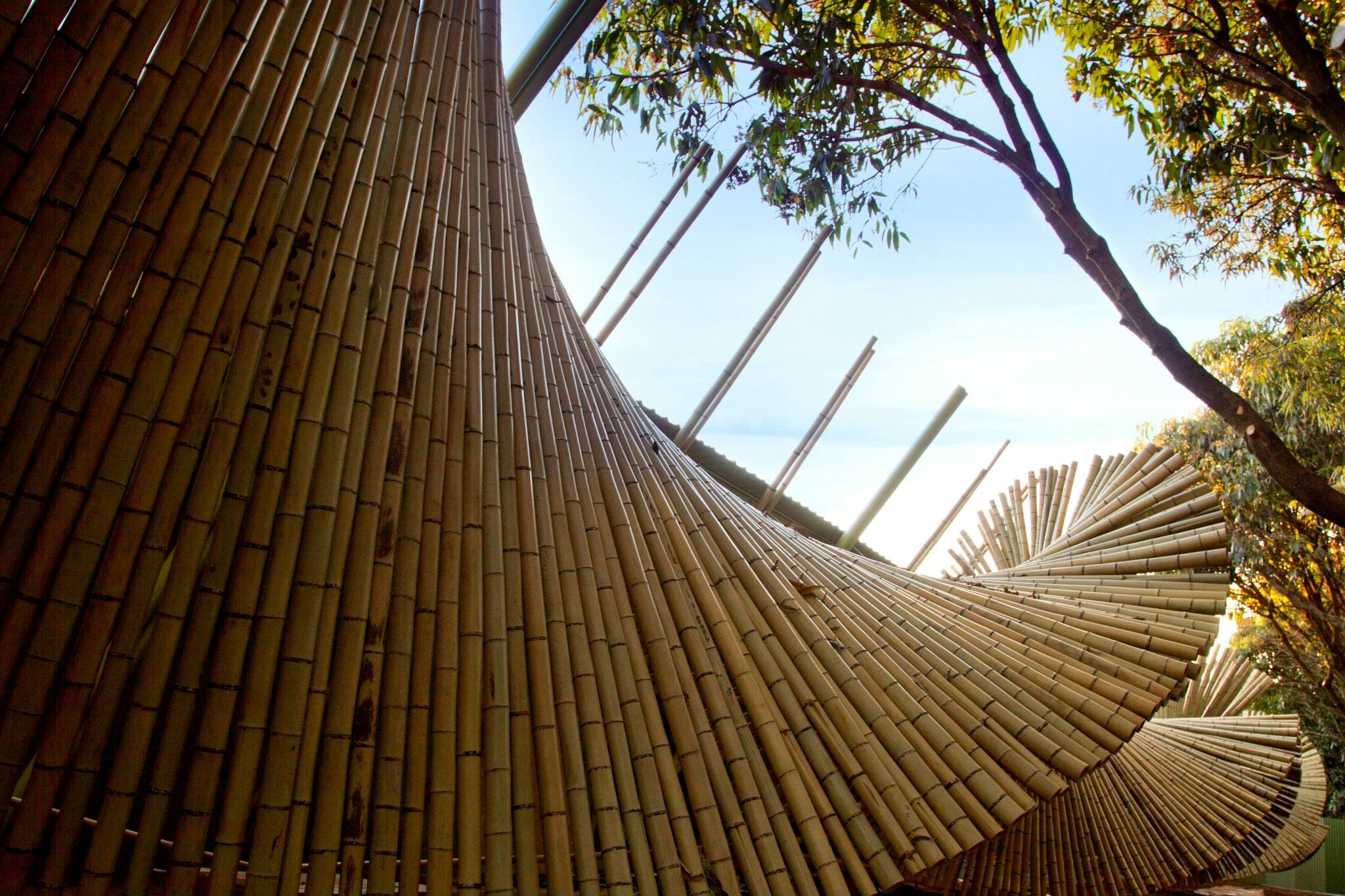 instalação de bambu casacor brasília 2011 sustentabilidade