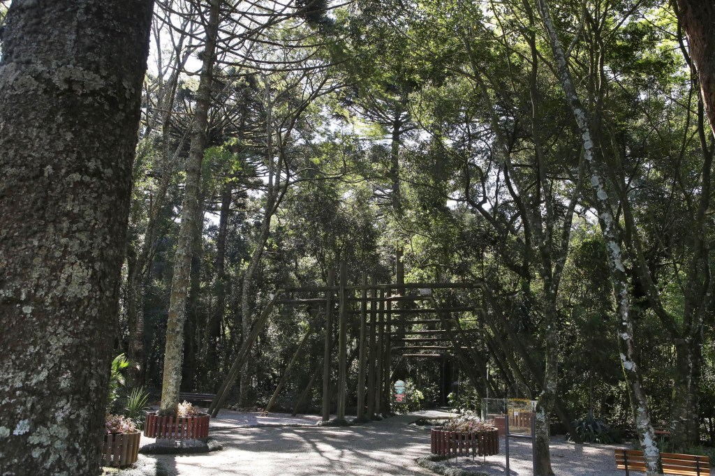 Bosque Municipal Capão da Imbuia