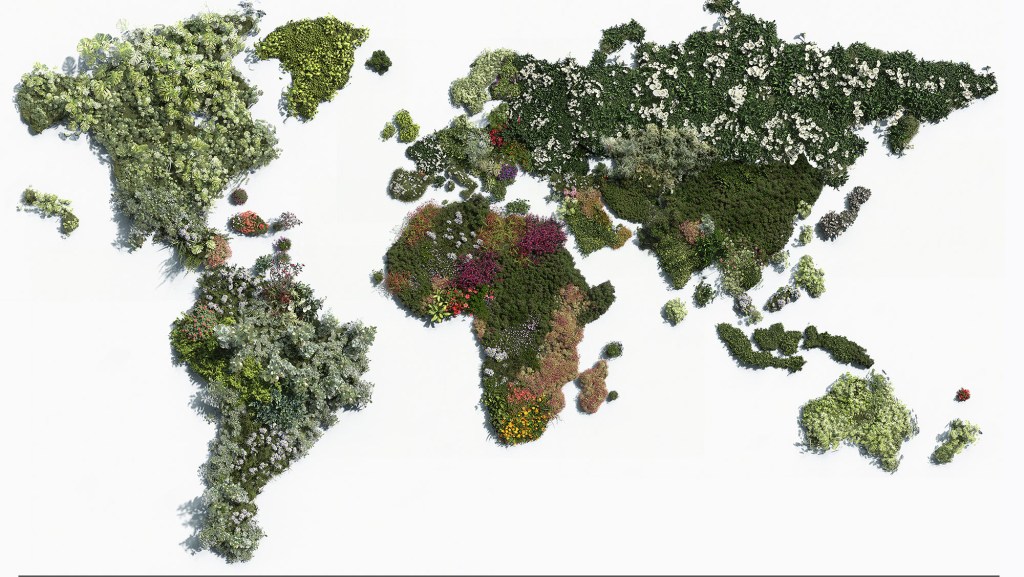 As espécies plantas mais populares para se ter em casa dos países do mundo todo