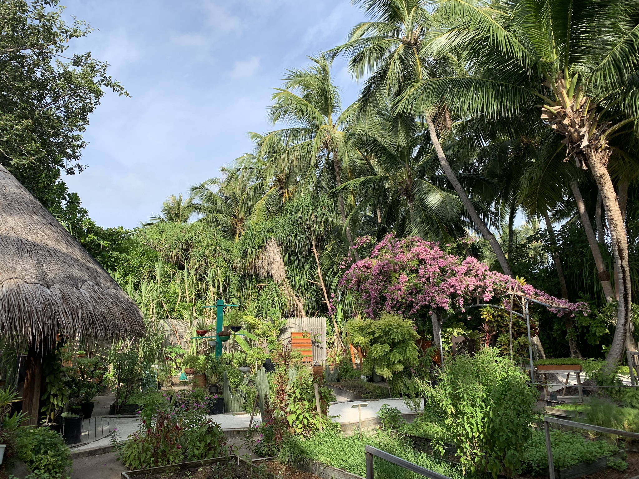 Anantara Kihavah; Maldivas; arquitetura; paisagismo