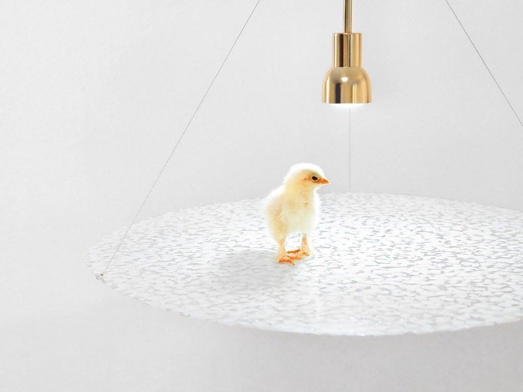 'Hatch' é uma luminária de teto criada a partir de cascas de ovos