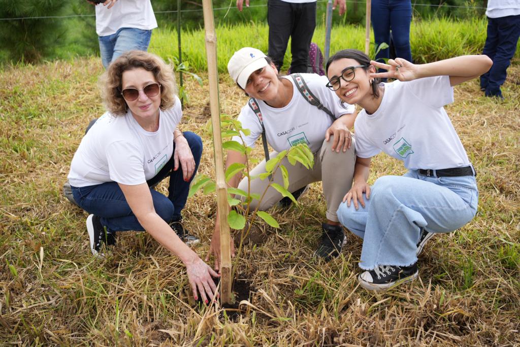 CASACOR + Carbon Free Brasil realiza compensação de carbono com plantio de 1.087 árvores