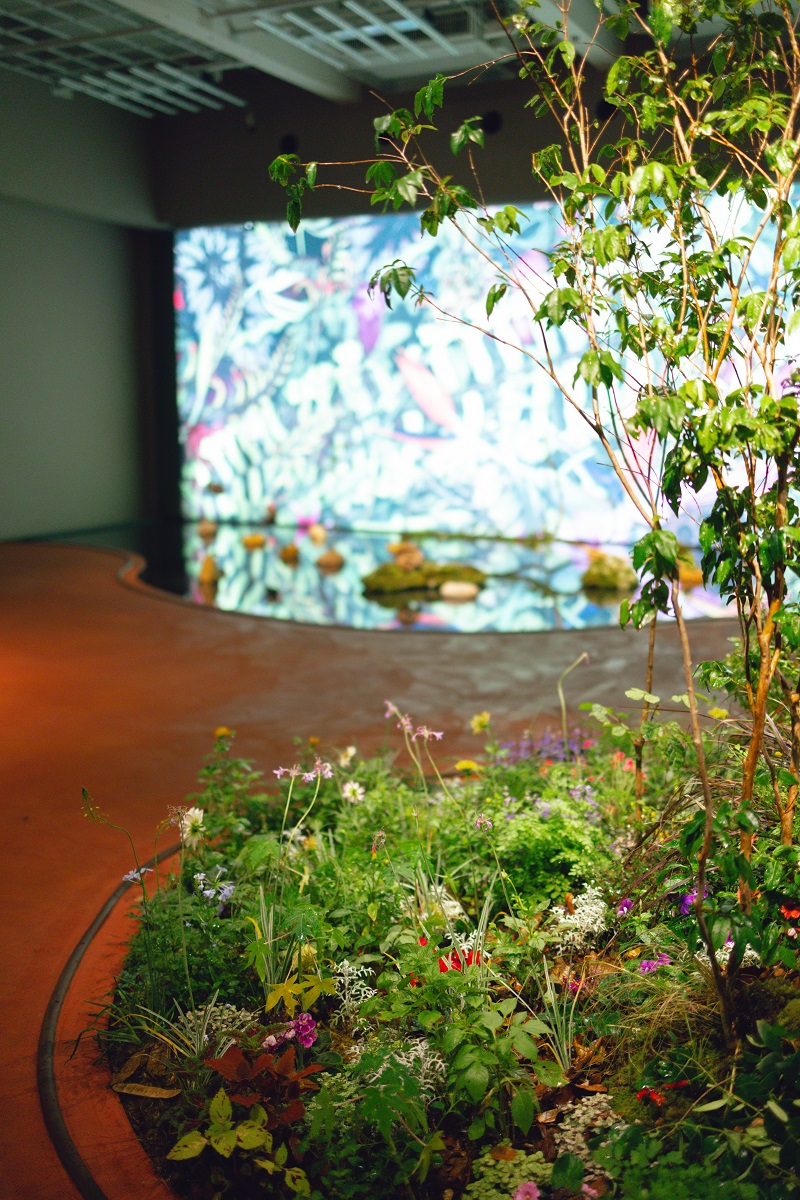 Atsunobu Katagiri cria uma instalação botânica inédita para a Japan House