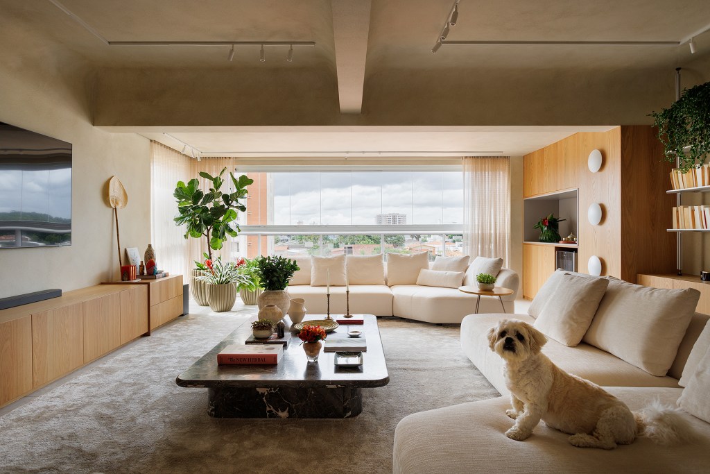 Apê 130 m2 ar mediterrâneo formas orgânicas Gustavo Marasca varanda sala estante tv sofa tapete cortina sofa mesa tapete