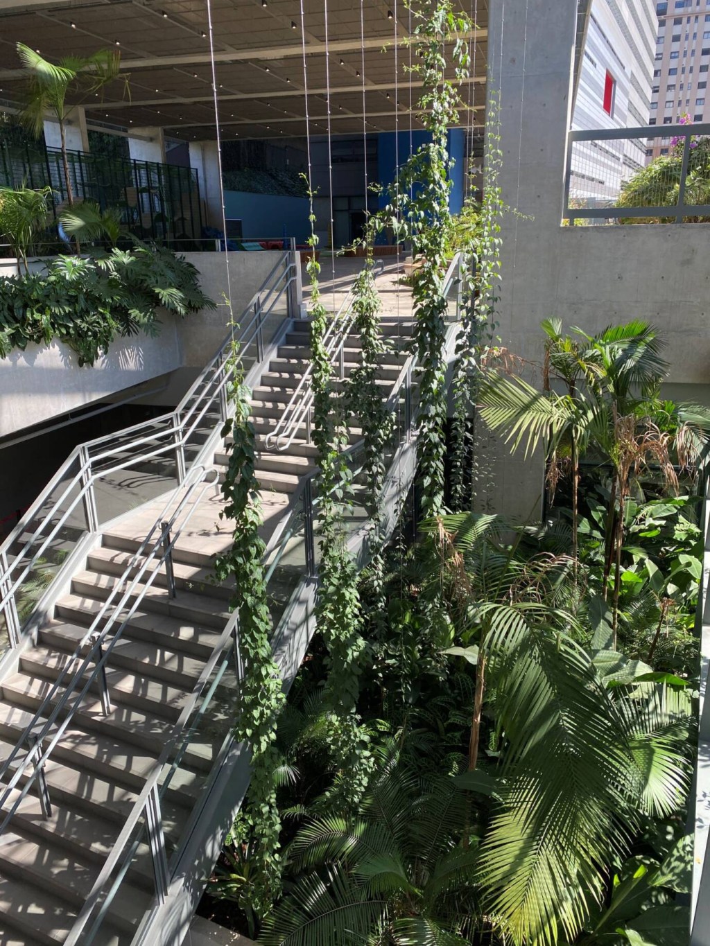 Projeto de paisagismo sustentável realizado pela Cardim Arquitetura Paisagística na Avenues Internacional School de São Paulo /
