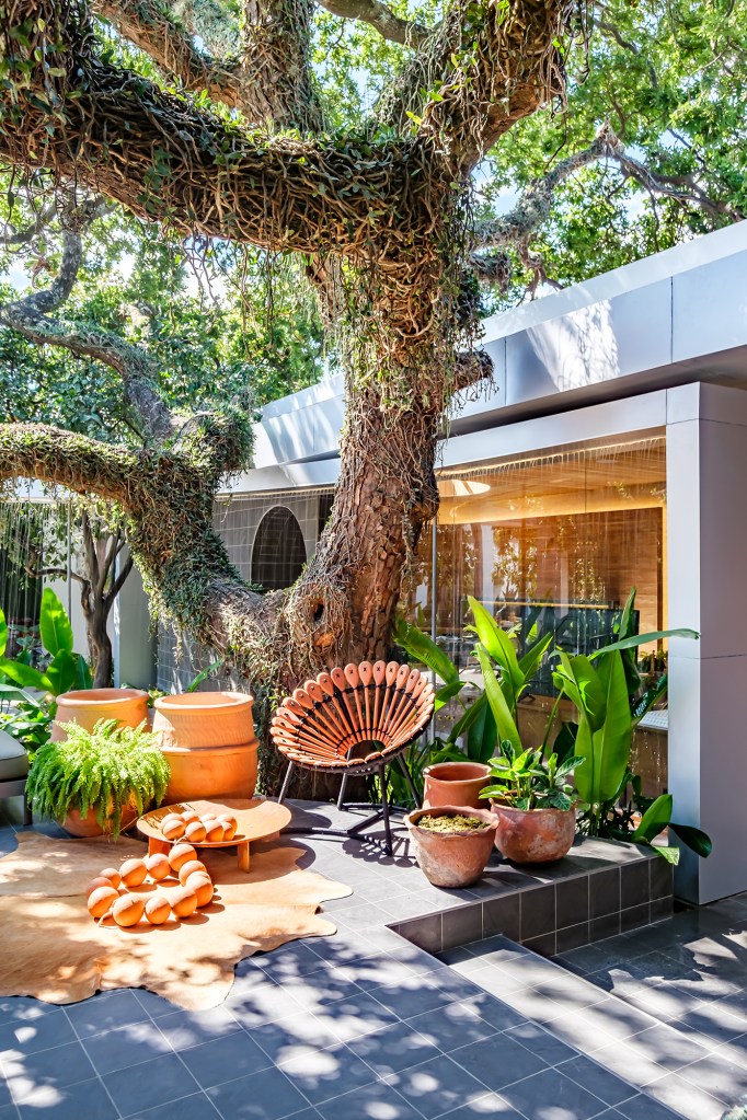 Eduardo Baldelomar - Jorori Lounge Gourmet. Projeto da CASACOR Bolívia 2023. Na foto, fachada com jardim, varanda e árvore jorori.