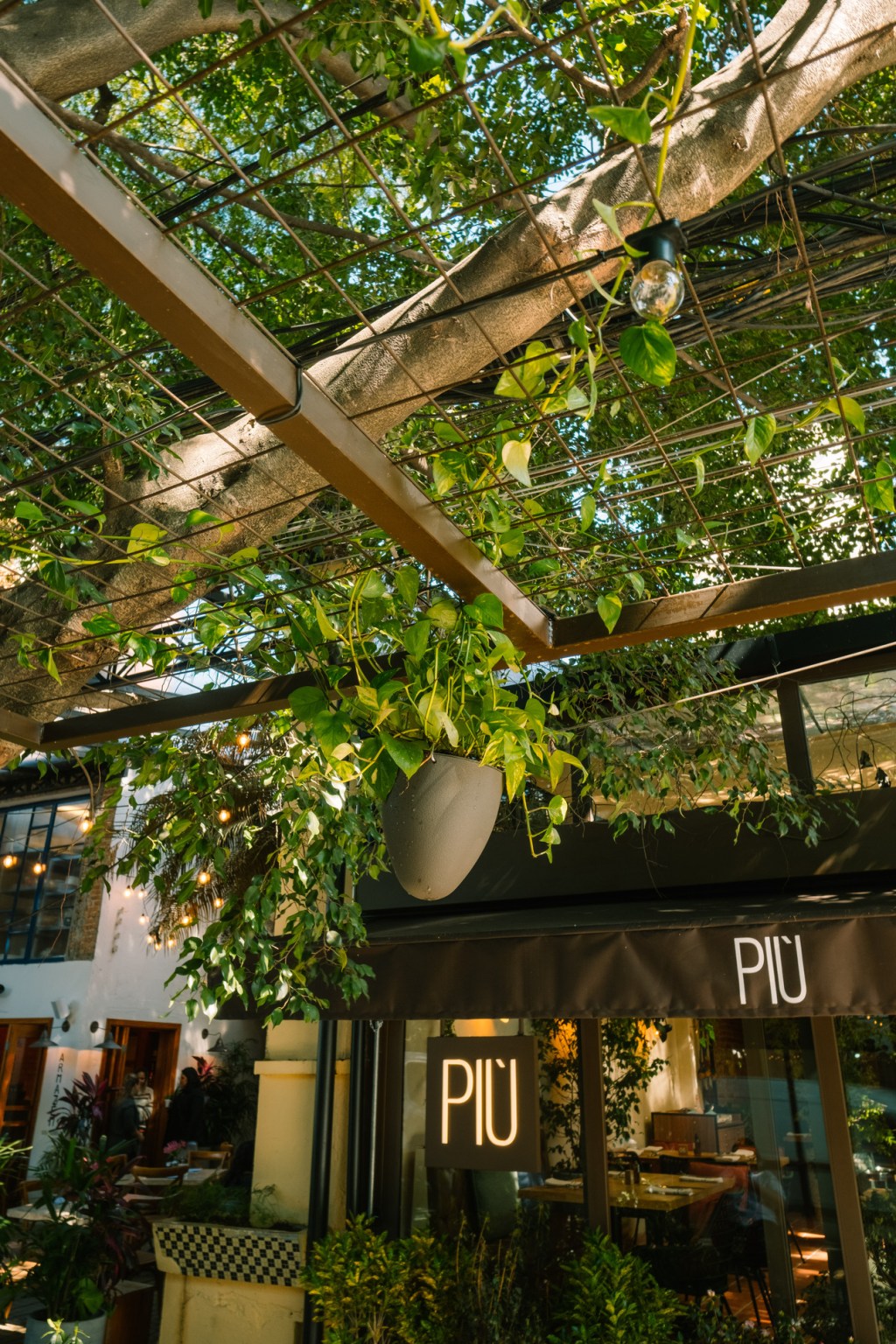 Restaurante PIÚ ganha nova área verde pelas mãos do paisagista João Queiroz.