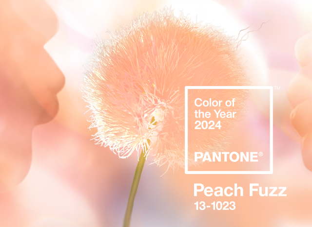Cor Pantone 2024- Peach Fuzz
