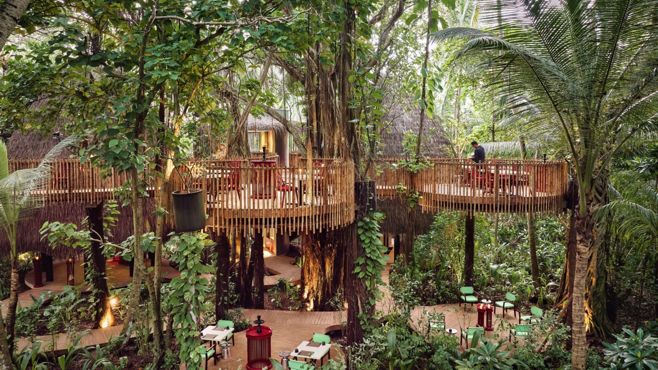 Restaurante nas Maldivas fica suspenso no meio das árvores da floresta. Projeto assinado por Poole Associates e Drew Anderson.