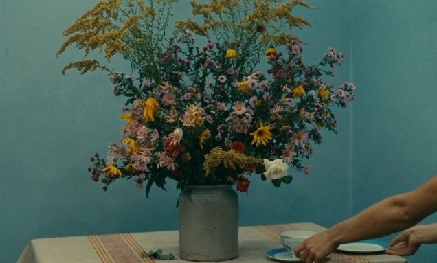 As Duas Faces da Felicidade (1965) - Agnès Varda
