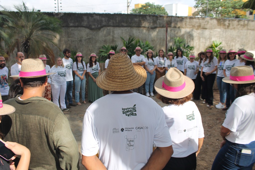 Agrofloresta é uma das apostas sustentáveis da CASACOR Piauí 2024